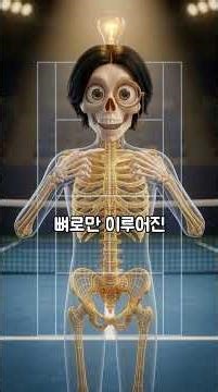 인간의 뼈 206개를 펼치면 테니스 코트 크기라고?