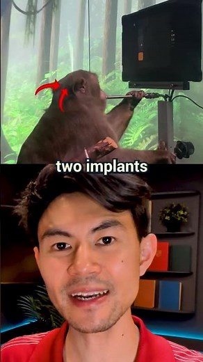 The Monkey That Started Brain CHIPS 🐵