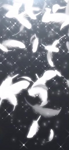 面白い動画をTwitterで楽しもう！