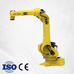 [Hot Item] Robotics Delivers Smart Precise Efficient Palletizing Solutions