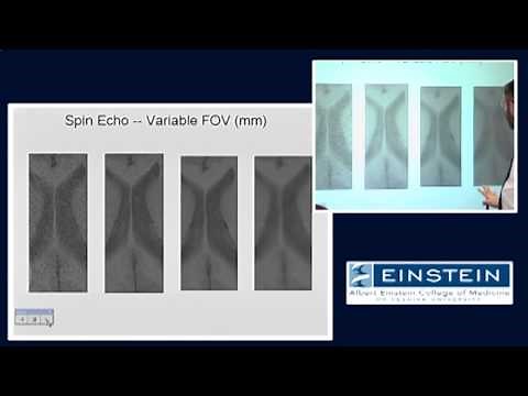 Introducing MRI: Signal to Noise (41 of 56)