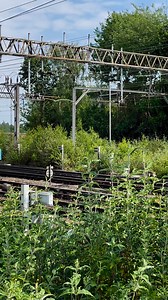 Still wearing the old uniform! #class66 #66003 still has the old EWS (England, Wales, Scotland) livery but is now owned by DB Cargo. I wonder if some of the class 66 locomotives will find their way onto heritage railways when they eventually retire? They are certainly a very common current locomotive. Pulling freight trains all over the country. #uktrainspotting #trains #diesellocomotive #britishrailways #railway #railways #trainspotting #railroad #freight | Adrian Watson