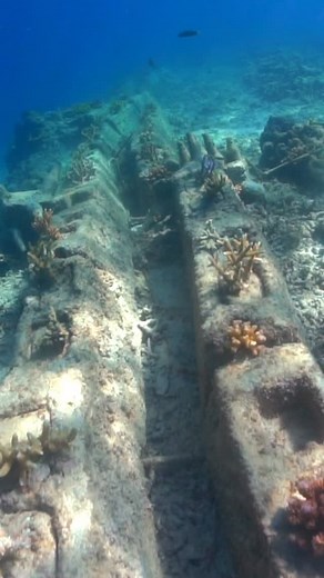 What a difference a little time and attention can make 🙌 Our ARC (Artificial Reef Crest) reef was deployed and ready for planting late 2019…6 years later, it’s almost unrecognisable! 🪸 Coral reef conservation can be a slow process…with the reef deployment, coral planting, monitoring, and maintenance, it can look like it’s not so effective. But these results speak for themselves! We now have a theiving, self-sufficient community and we can enjoy the fruits of our labour 🐠 📸 @david_palfrey @ro