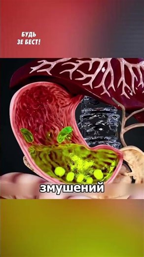 З’їв пізню вечерю і ліг спати? Твій організм уже працює проти тебе!