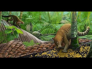 After the Impact: How Life Bounced back after the Extinction of the Dinosaurs