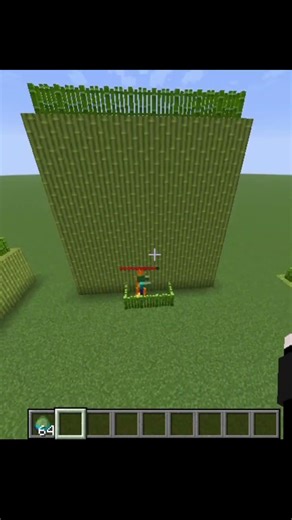 Minecraft Logic On Zombie #minecraft