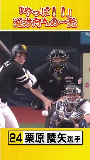 チームメイトも驚きの逆方向への1発 #sbhawks #全新 #栗原陵矢