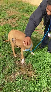 2.4K views · 394 reactions | A017130 Located At: Clayton County...