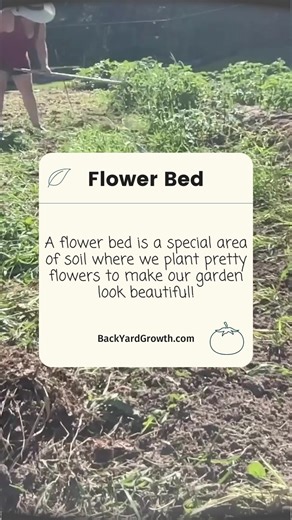 🌺🌿 A flower bed is a dedicated area in your garden where you can showcase a variety of flowers and ornamental plants, creating a beautiful focal point or adding visual interest to your outdoor space. Flower beds can vary in size, shape, and design, allowing you to personalize them to suit your garden style and preferences. 🌼🍃 One of the key benefits of flower beds is their ability to add color and texture to your garden throughout the growing season. By selecting a mix of flowers with differ