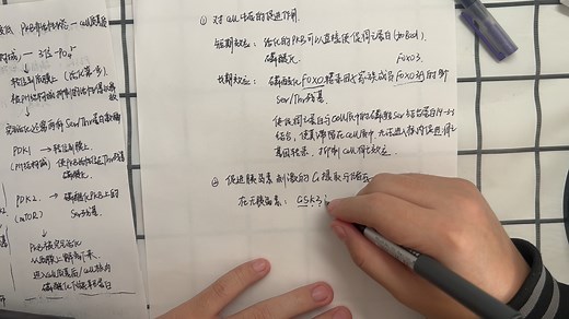 【细胞生物学】第十一章——PI3K-PkB（Akt）信号通路作用机制及其生物学作用