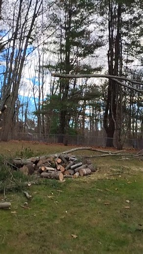 A limb hits the ground with pound. 😉 | FreeHelp