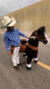 Cattle dog activated 😂#dogs #cowboys | Super Cattledogs