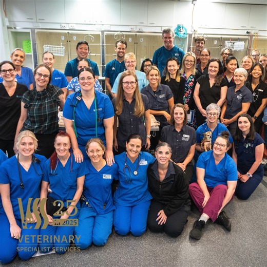 🎉In just two weeks, Veterinary Specialist Services will turn 25 years old! 🎉 “A journey of a thousand miles begins with a single step.” – Chinese proverb. Close to a quarter of a century ago, Veterinary Specialist Services (VSS) began as a small hospital tucked just around the corner on Compton Road in Underwood. Even then, a handful of passionate veterinarians and dedicated support staff shared one thing: a VERY BIG DREAM. From that comparably humble beginning to today’s state-of-the-art hosp