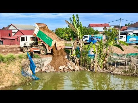 Start Opening New Project!! Mitsubishi Bulldozer DB2A pushing Soil into flooded​ &Team 5ton Trucks.