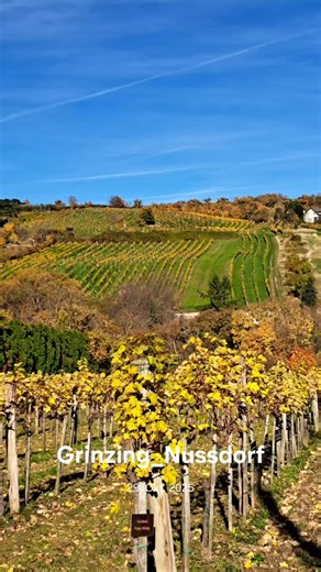 Wien. Von Grinzing nach Nussdorf. #wienliebe #vienna #grinzing #wienerwein #nussdorf #döbling #weinwandern | Georg Hönigsberger