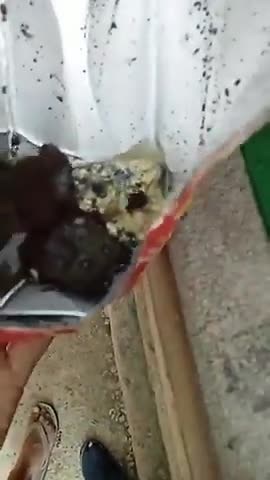 637K views · 3K reactions | Reality Of Juices Being Sold In Kashmir. Always Check Before Using. Instagram Link: https://instagram.com/abnews2017?igshid=YmMyMTA2M2Y= | AB News | Facebook