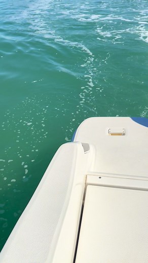 Had an amazing boat day this past weekend. Blessed to not have hurricane residual effects for the first time since we started our part time-snowbird life. #freshwateristhebestwater #countingdowntilmylakeisback #boatdaysarebestdays | Wixom Lake Michigan