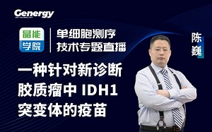 一种针对新诊断胶质瘤中 IDH1 突变体的疫苗
