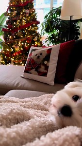 3K views · 271 reactions | Russell & Milo ❤️ | Milo Meets World | Facebook