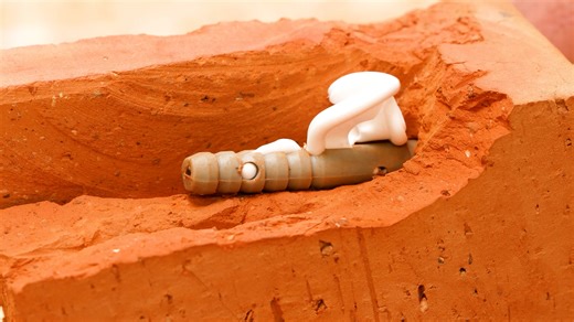 No handyman? Try these smart home hacks