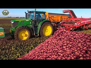 704 Million Pounds Of Red Beets Are Harvested By American Farmer This Way | Agriculture Technology