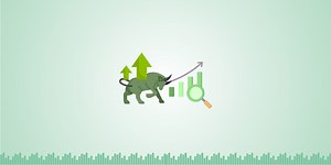 7 Factors You Should Not Ignore For Multibagger Stocks | ELM