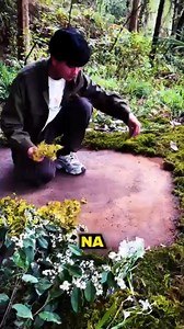 913K views · 20K reactions | NIE MÓGŁ SIĘ POGODZIĆ ZE STRATĄ! #viral #dc #fyp | Humor w Pigułce | Facebook