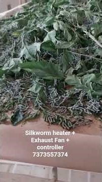silkworm Exhaust Fan + Heater + controller box installation contact 7373557374