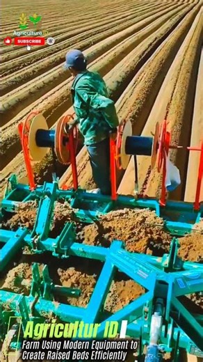 Farm Using Modern Equipment to Create Raised Beds Efficiently #agriculture