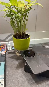 59K views · 819 reactions | For details 9080920310  Vivo x200 pro 1 year warranty New price 95000 Red zone price-75000/- only Location  7th st Gandhipuram Coimbatore #vivo #offers #coimbatore #bestprice #new | Red zone mobiles Coimbatore | Facebook