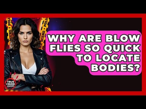Why Are Blow Flies So Quick To Locate Bodies? - True Crime Lovers