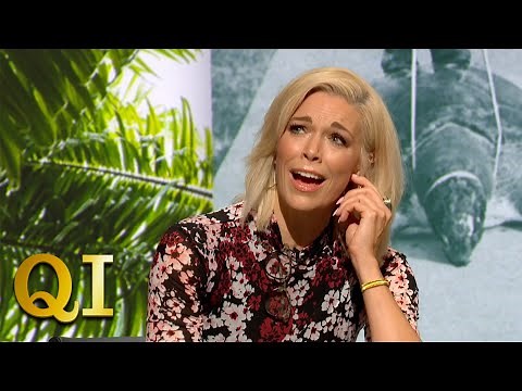 How Do You Cheat In A Turtle Race? | QI