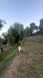 128K views · 6.5K reactions | ISI Pakistan on Reels | Facebook