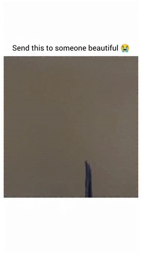 movies and memes on Instagram: "Share it 😭🤣 The Little Rascals (1994) 👦👧🎬 Friendship, mischief, and childhood adventures at their funniest! 💥 When the boys of the “He-Man Woman Haters Club” accidentally ruin their go-kart and lose their clubhouse, they must work together to make things right — and maybe learn a little something about love along the way. 💘😂 Main Cast: Travis Tedford | Bug Hall | Brittany Ashton Holmes | Ross Bagley | Blake McIver Ewing Director: Penelope Spheeris Genre: F