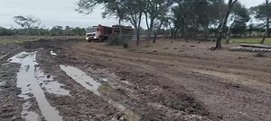Large Truck Navigates Muddy Rural Road with Logs
