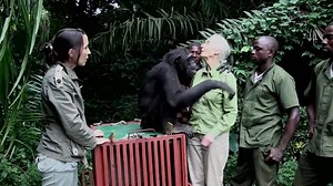 5.8K views · 67 reactions | We Rise Up The Movie on Reels | Facebook