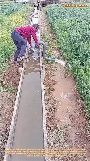 Irrigation par siphon : rediriger l'eau grâce à des tuyaux alimentés par gravité