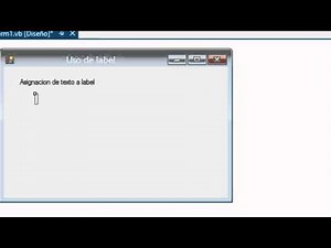 Visual Basic Para Principiantes #2 Usando Label