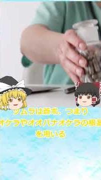 【ゆっくり解説】薬剤師が教える豆知識～同じ名前の薬なのに成分が違う～ #ゆっくり解説＃漢方薬＃薬剤師