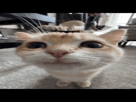 Godseeker build progression (Training Arc) | Deepwoken