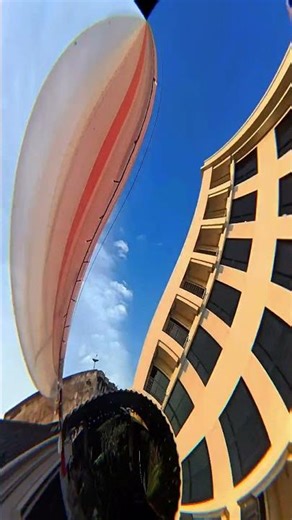 #cobra #funny #crocodile #crocs #python #voiceeffects #fashion #stitchboutique #comedy #automobile