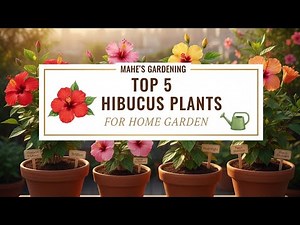 Top 5 Stunning Hibiscus Varieties for Home Garden 🌺 | Easy to Grow! | Mahe’s Gardening #trending