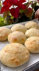 1M views · 8.8K reactions | Bułeczki puccie skladniki : 500 g mąki pszennej 12 g drożdży świeżych 300 g wody 10 g soli 50 g oliwy łyżeczka miodu . Pieczemy w 230 stopniach ok 15-20 min. #bułeczki #puccia #chleb #bread #przepis | Ewa Szczesna - Gotuj prosto i z serca | Facebook