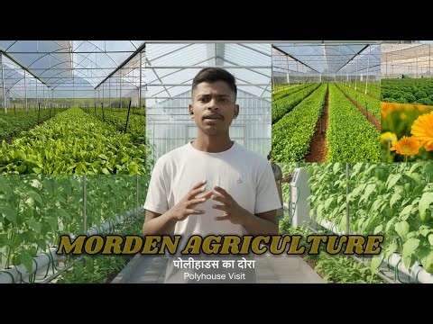 Exploring Modern Agriculture: My Polyhouse Visit (English Vlog) farming purpose video ☘️🌴🍀🫛