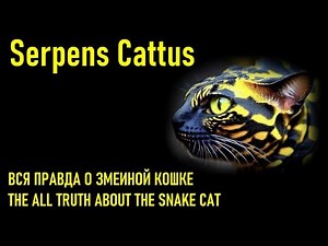 Serpens Cattus | Snake Cat | Змеиная кошка | Amazon Cat | About the birth of a Snake cat |
