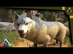 ARK How to tame: Direwolf