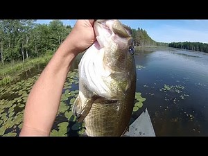 Lure Fishing #156 - Hunting for Big Largemouth Bass with Topwater
