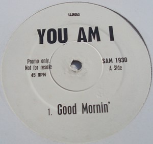 You Am I - Good Mornin'