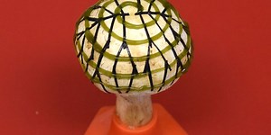 Bacteria Ride Bionic Mushrooms to Generate Electricity