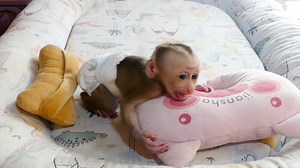 Poor Emma Cry Tantrum On Bed Angry Mom Late To Give Her Milk | Monkey Daily